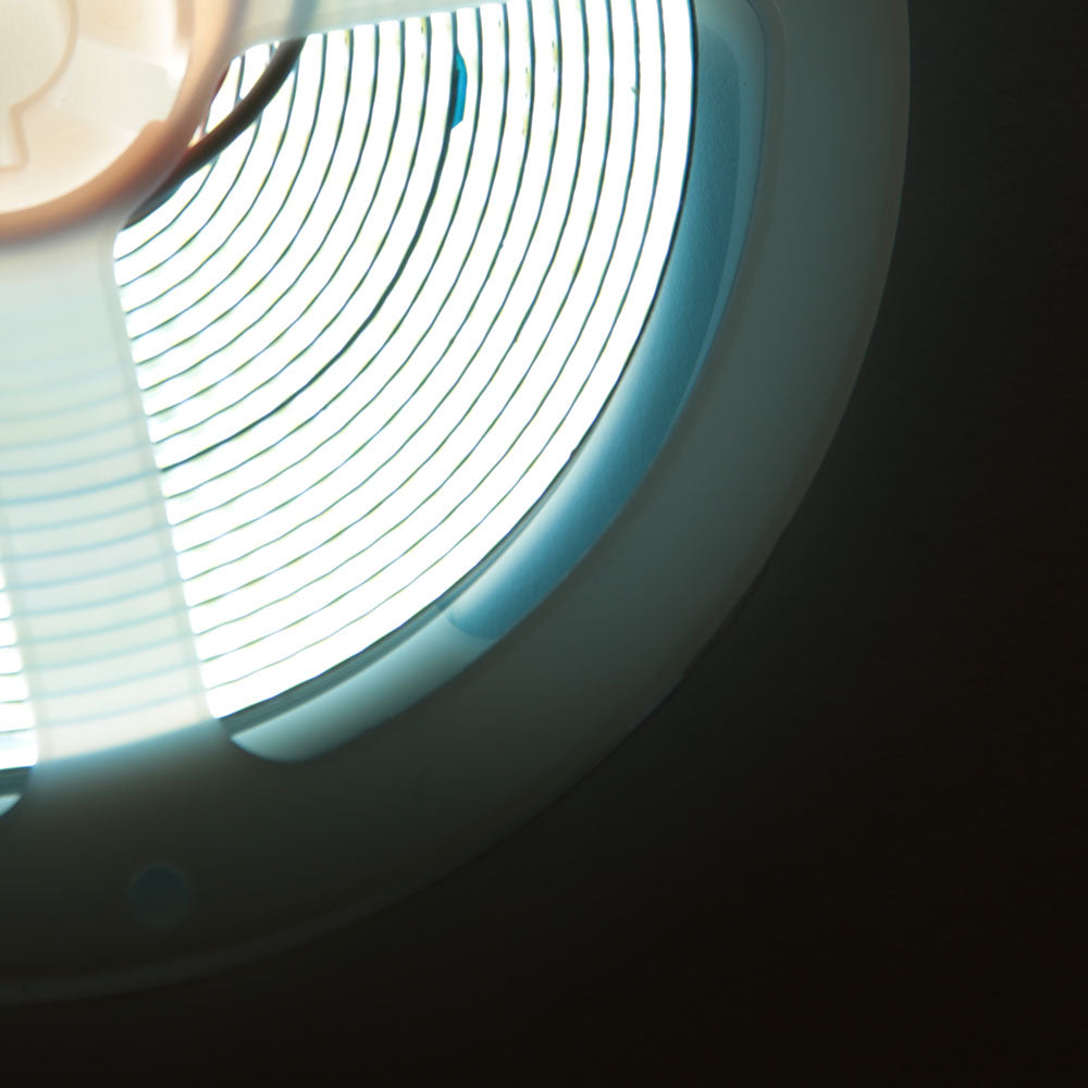 (BX3-COB-320-24DC-CW_padreImg_bx3_cob_320_24dc_cw_5.jpeg)