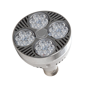 Bombillas LED PAR