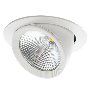 Focos Downlight