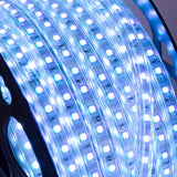 (BX3-220-60-50M-CW_BX3-220-60-50-RGB_variantImg_bx3_220_60_50_rgb_2.jpeg)