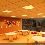 (BX3-PANMB59559536WCW_padreImg_bx3_panmb59559536wcw_10.jpeg)