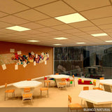 (BX3-PANMB59559536WCW_padreImg_bx3_panmb59559536wcw_9.jpeg)